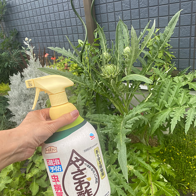 Chico.さんの実例写真