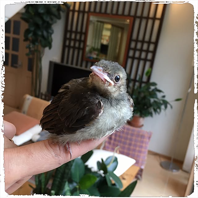 R-TYPEさんの実例写真