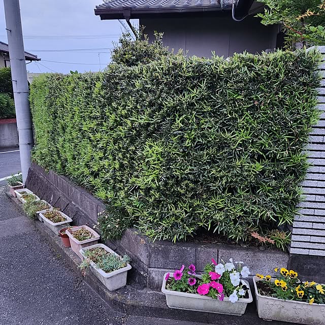 fuchan0930さんの部屋