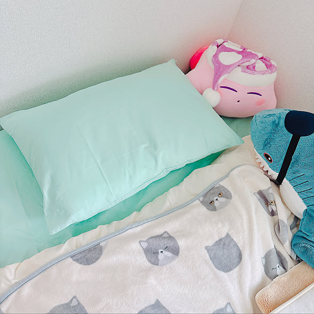 mochipiさんの実例写真