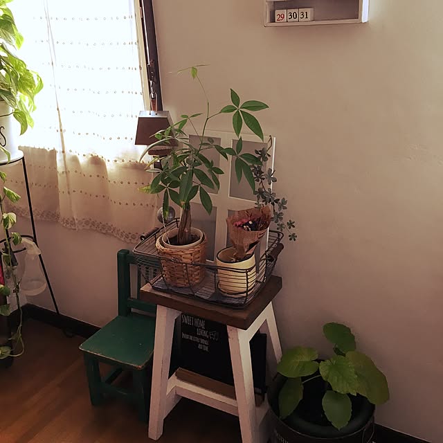 kacochanさんの実例写真