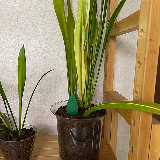 kikiさんの部屋