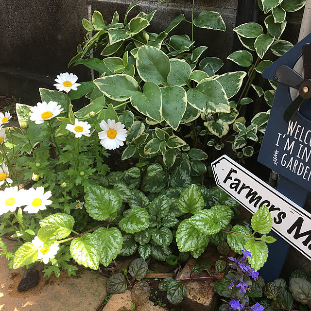 mamaさんの実例写真