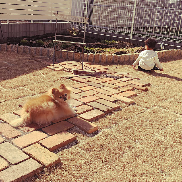 misoshiru-gohanさんの実例写真