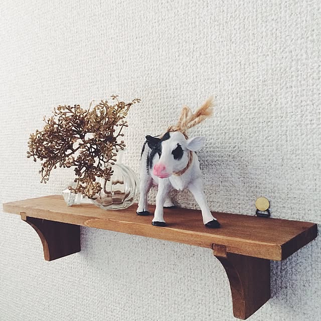nasiさんの実例写真