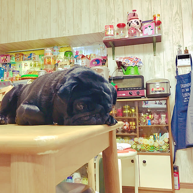 kopandaさんの実例写真
