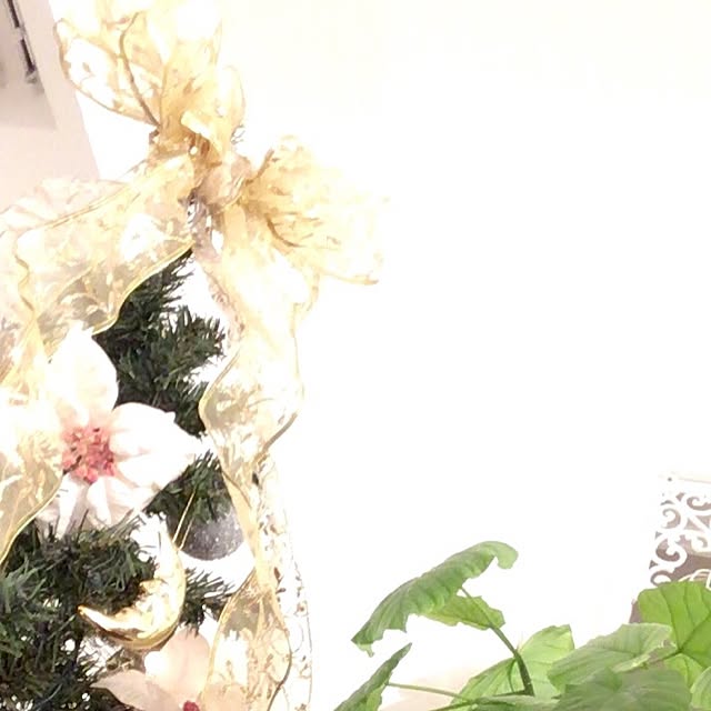 部屋全体のインテリア実例 - 2016-12-19 08:34:42