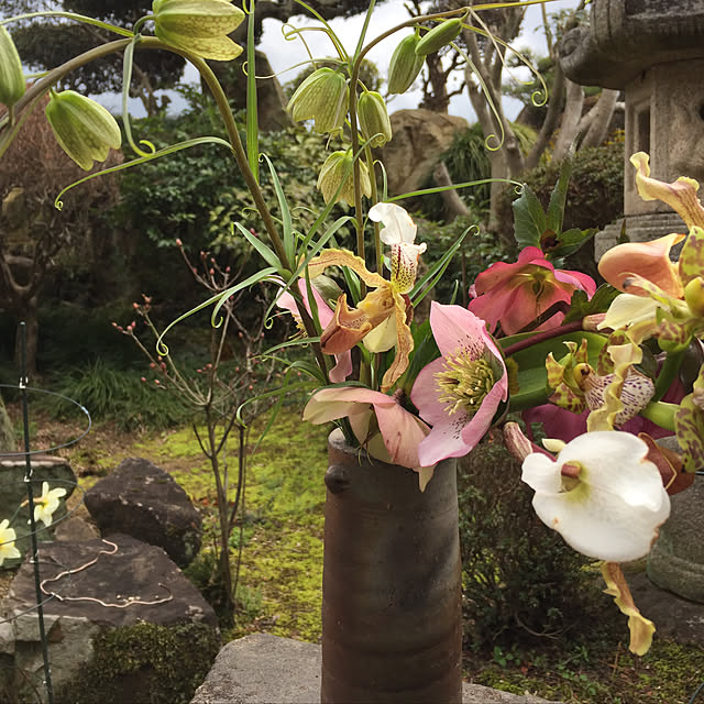 buchiさんの実例写真