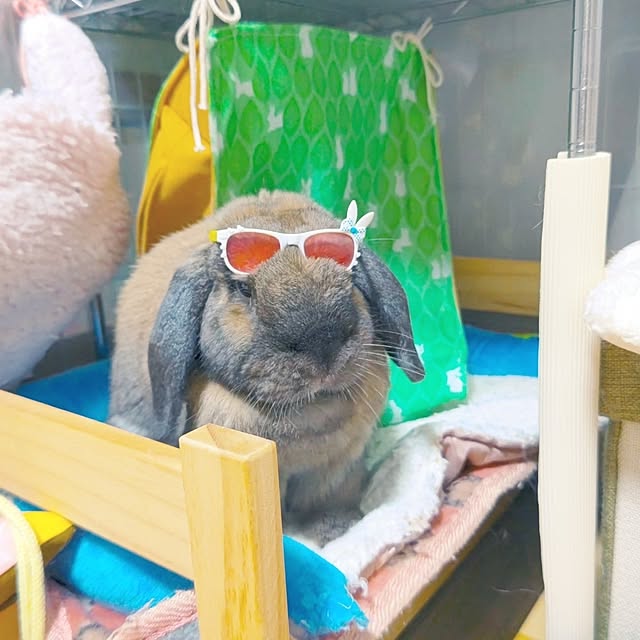 mariaさんの実例写真
