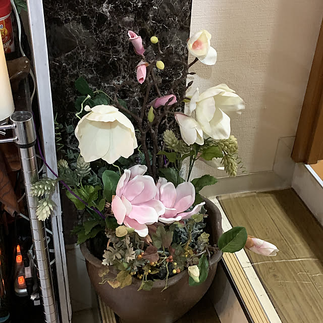 Soraさんの実例写真
