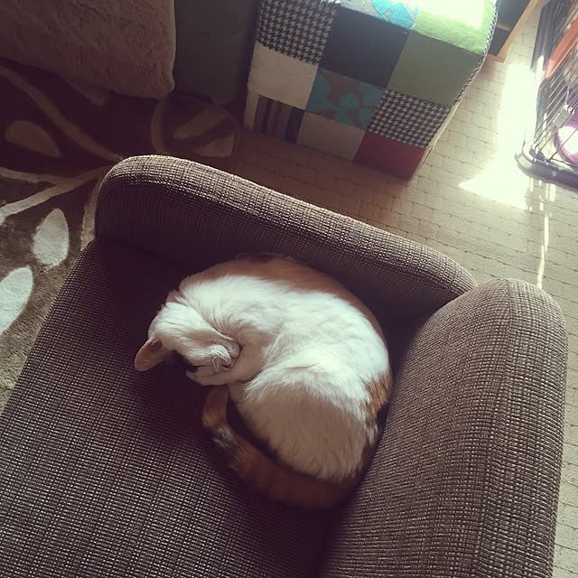 yocchiさんの実例写真