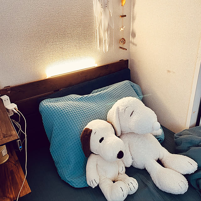 a-rinさんの実例写真