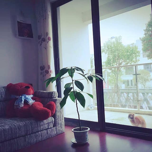 MARIさんの実例写真