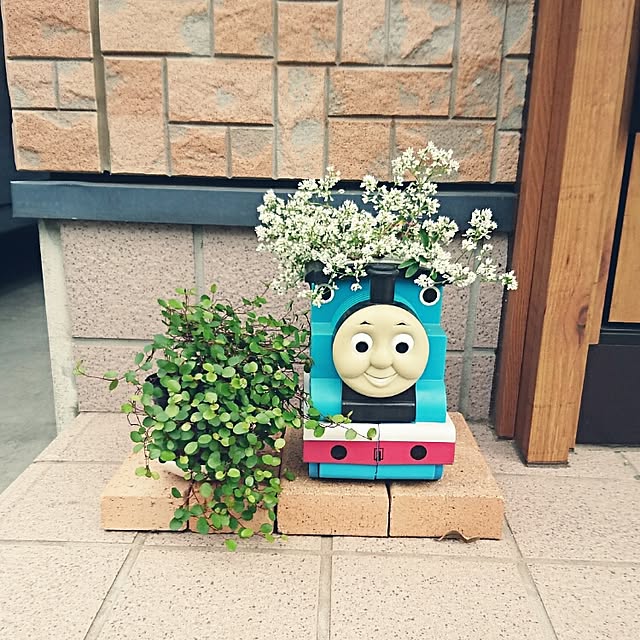 pepeさんの実例写真