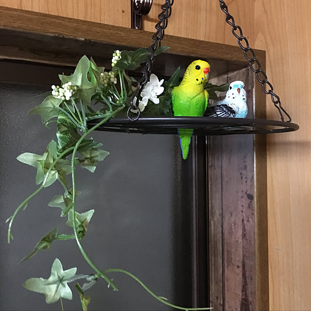sakuranboさんの実例写真