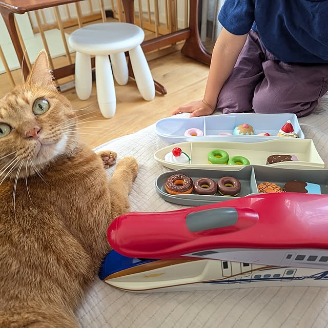 poteさんの部屋