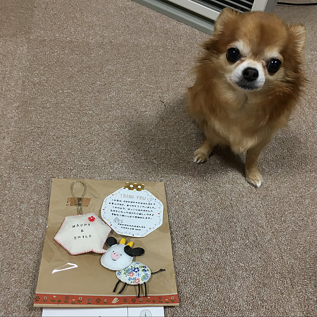 koroさんの実例写真