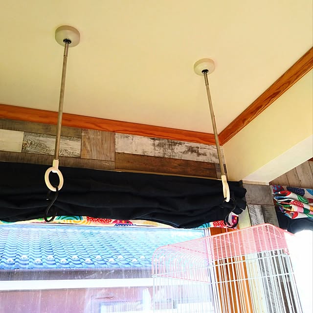 Miponappoさんの部屋
