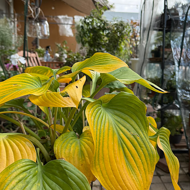 Aqettyさんの部屋