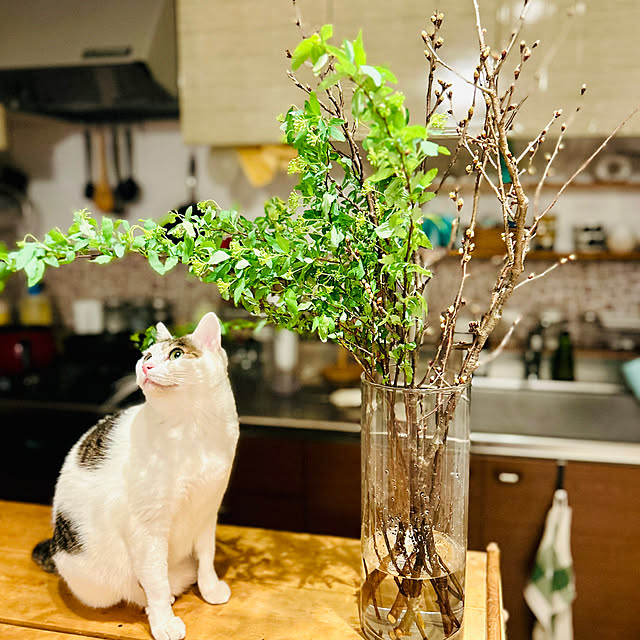 karuraaさんの実例写真