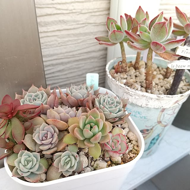 meiさんの実例写真