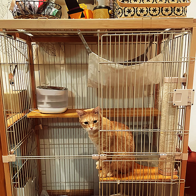 okogeさんの部屋