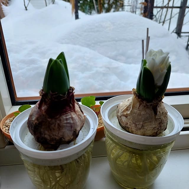heyasukiさんの実例写真