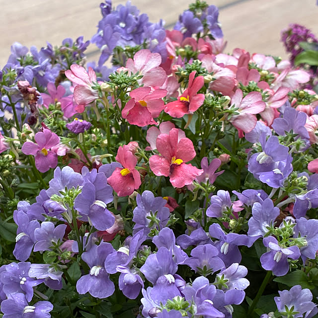 romiromiさんの実例写真