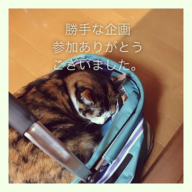 mayugonさんの実例写真