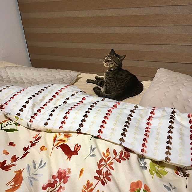 ayataroさんの実例写真