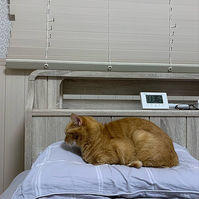 mikeume7さんの実例写真