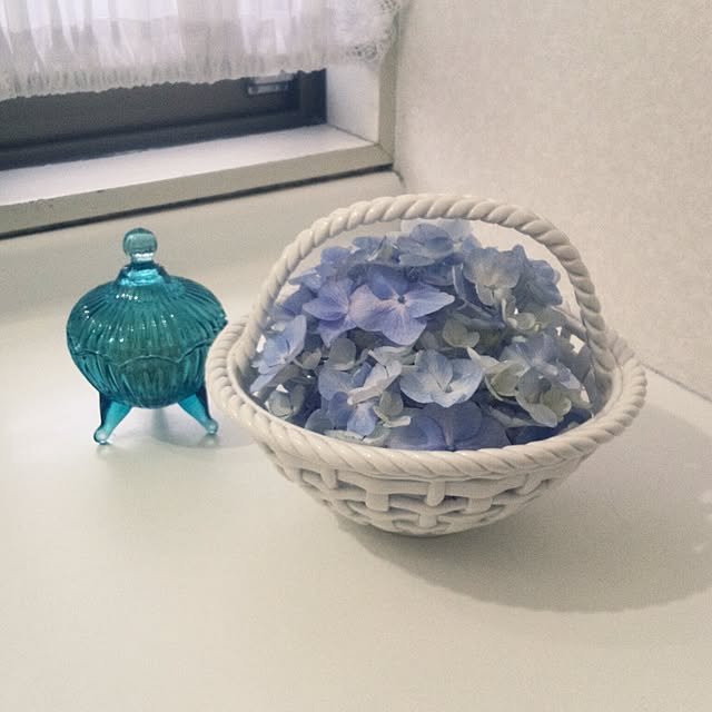 Renさんの実例写真