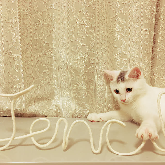 Tencil_Homeさんの実例写真