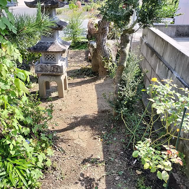 sumimarumiさんの部屋