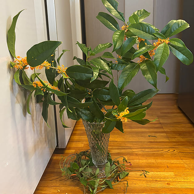 syutmmさんの部屋