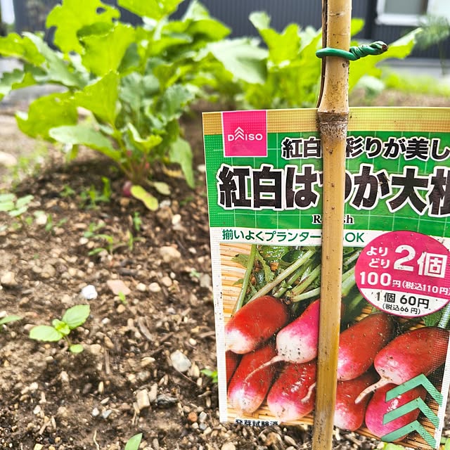 Rubiconさんの部屋