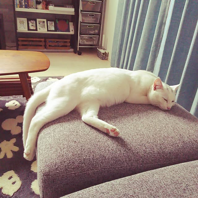 kaori0001さんの実例写真