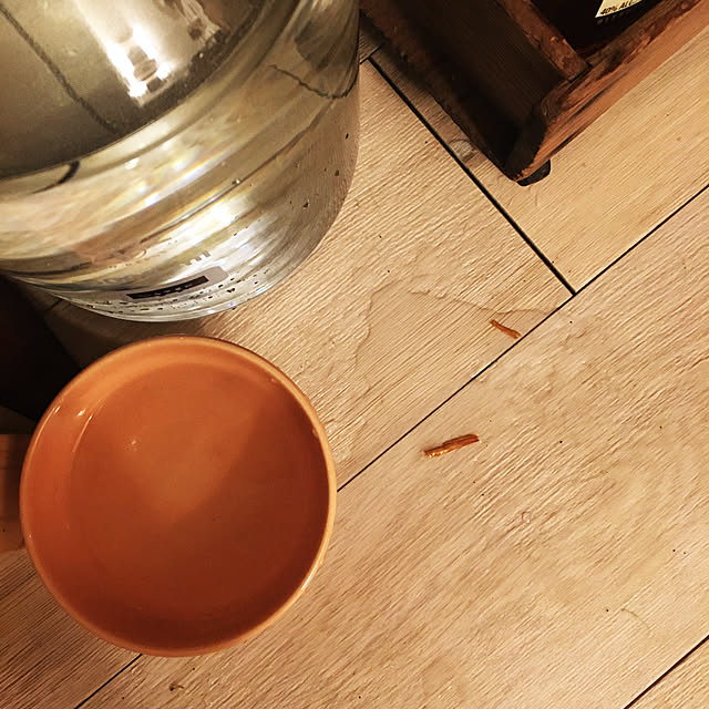 Mさんの実例写真