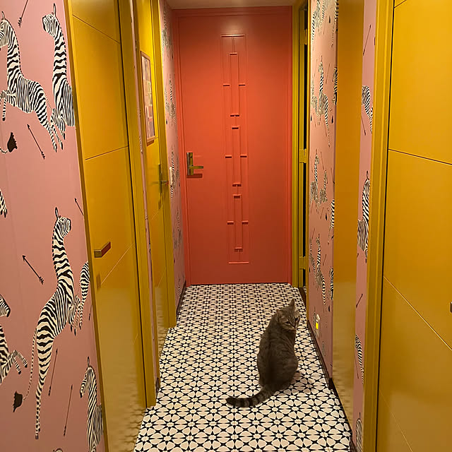 HACHIJIRUSHIさんの実例写真