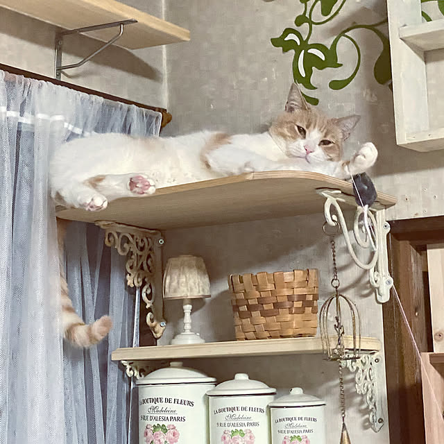 mintteaさんの実例写真