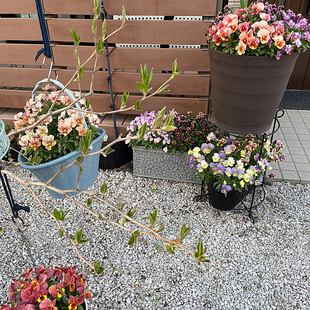 ronronさんの部屋