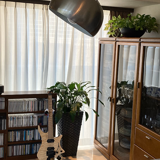 実例写真