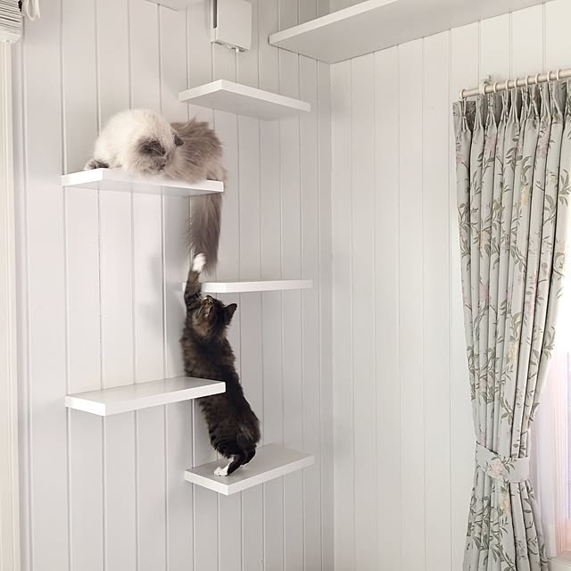 yuchiさんの実例写真