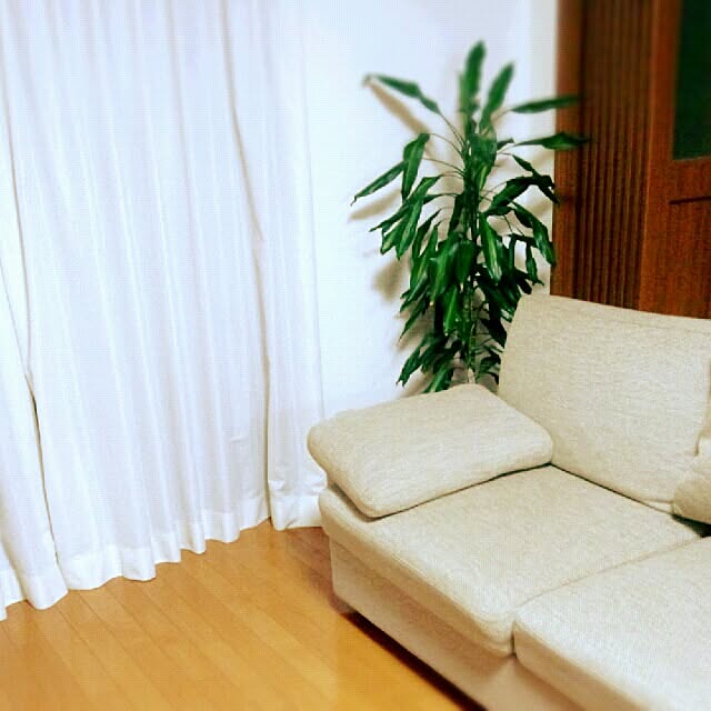 cache-cacheさんの実例写真