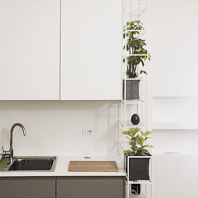 キッチン/iPot design japan/収納棚/収納/植物のある生活...などのインテリア実例 - 2018-02-28 12:22:11