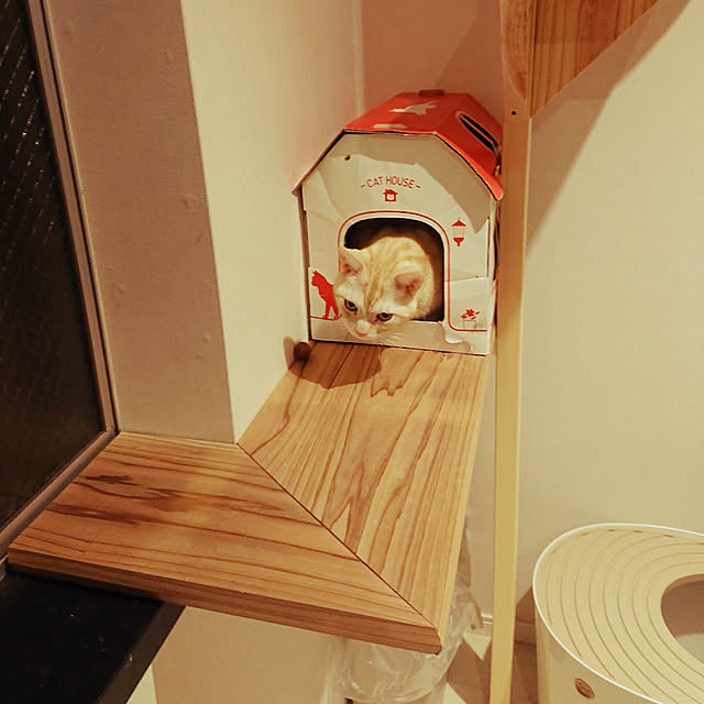 tetora0505さんの実例写真