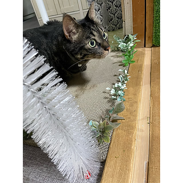momocchiさんの部屋