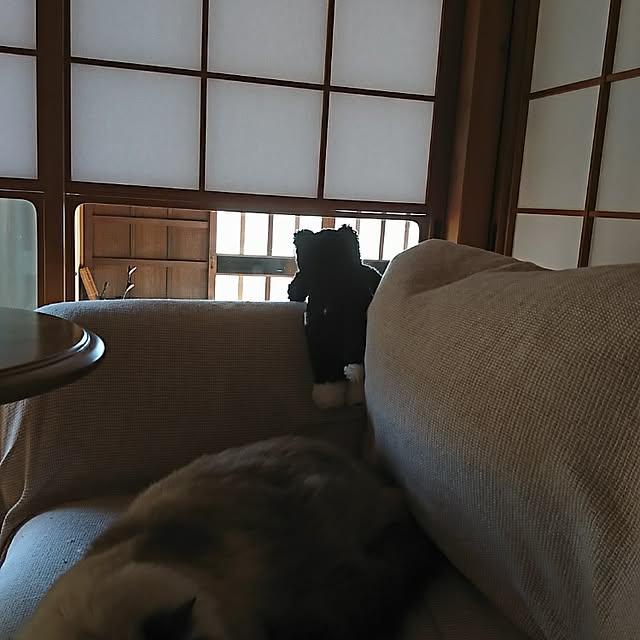 coffee-groundsさんの実例写真