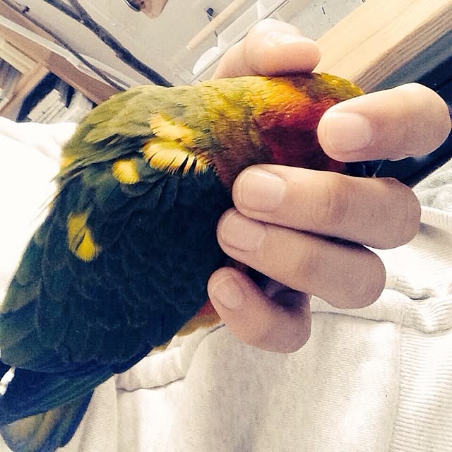 Atsushiさんの実例写真