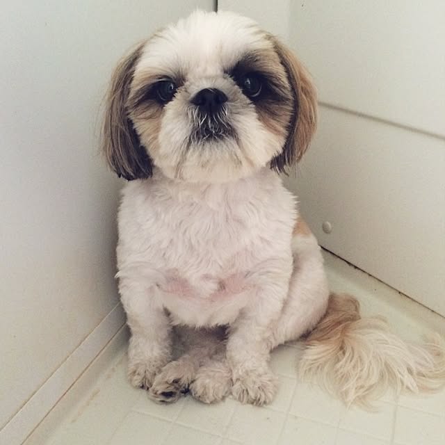 rinさんの実例写真